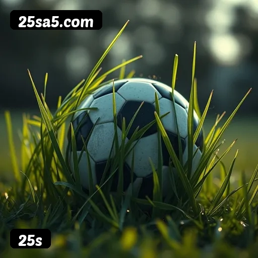 Loterias online disponíveis na 25s